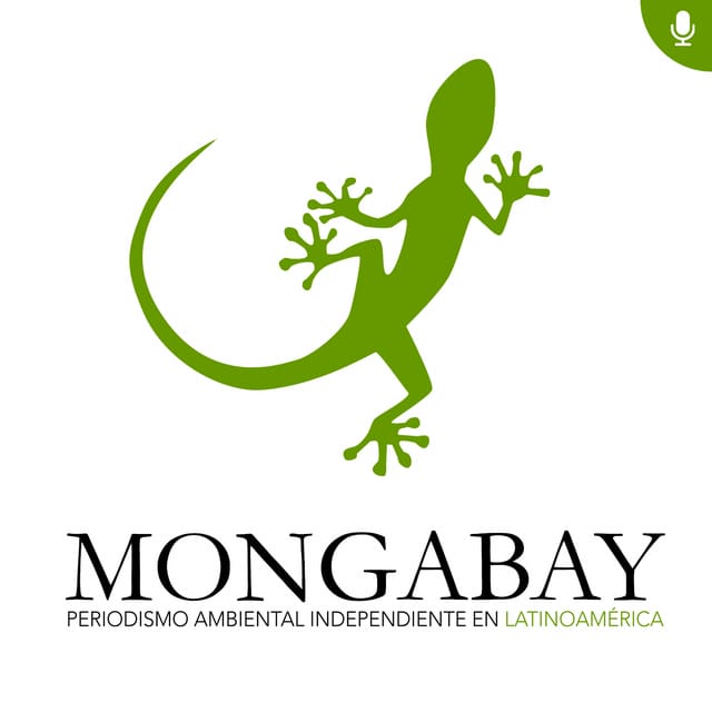 Imagen de Mongabay Latam